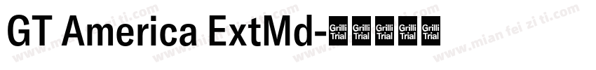 GT America ExtMd字体转换